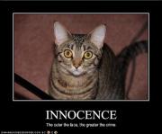 not guilty.jpg not guilty.jpg
